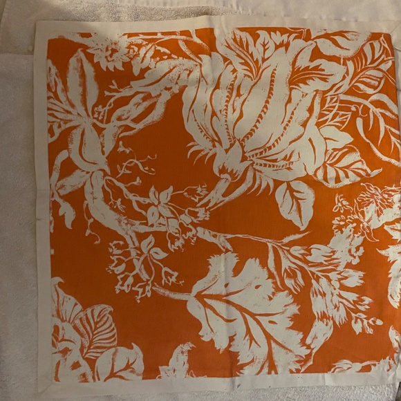 Pillow Cover, Potter Barn, 20’’x20’’ - Picture 2 of 2